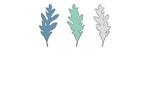 Oakland Coffee And Juice Bar Llc